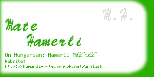 mate hamerli business card